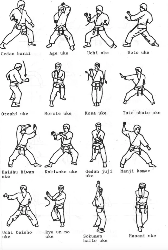 Tecniche di karate